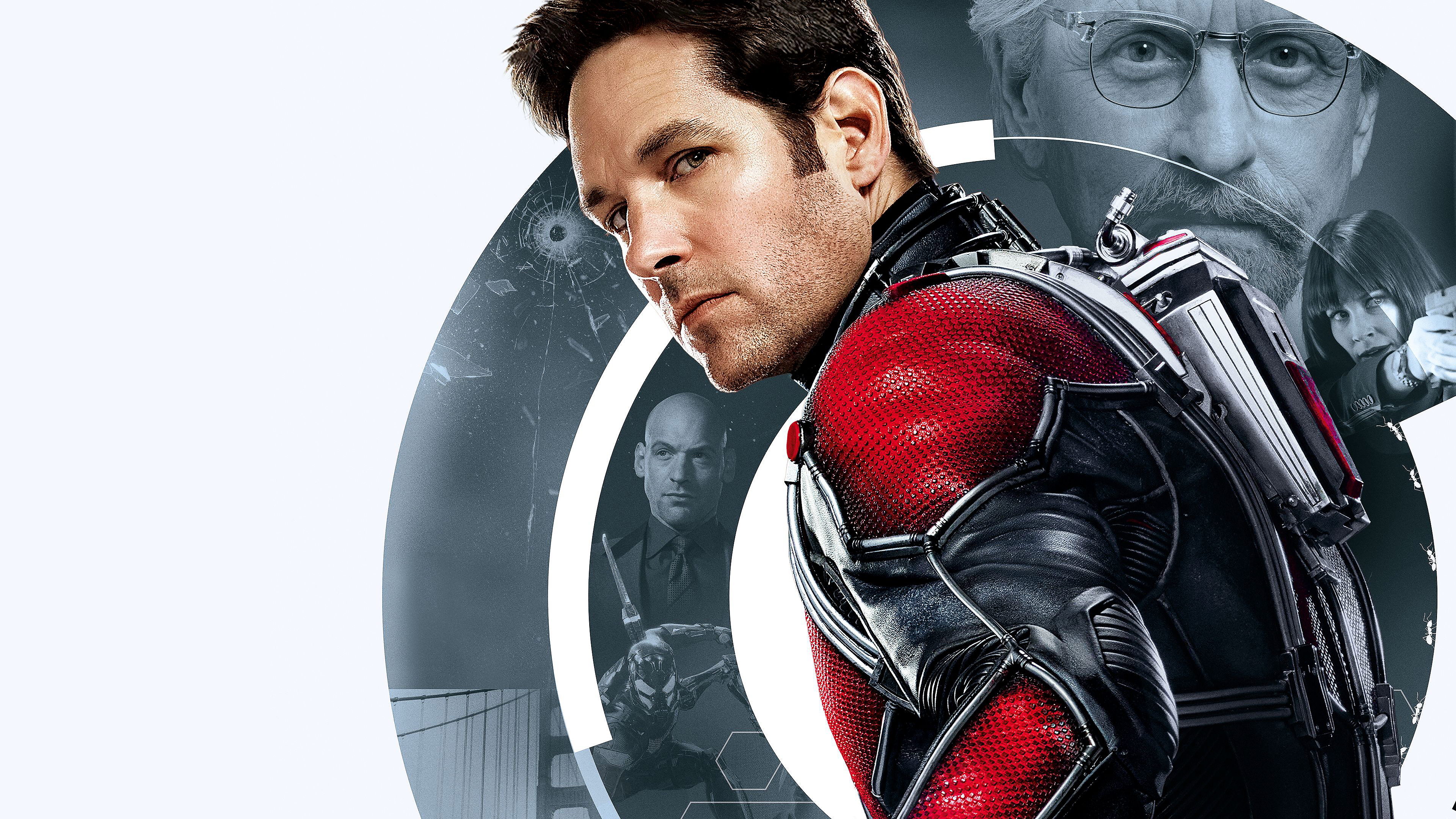 AntMan and the Wasp Wallpapers  HD Wallpapers  ID 24206
