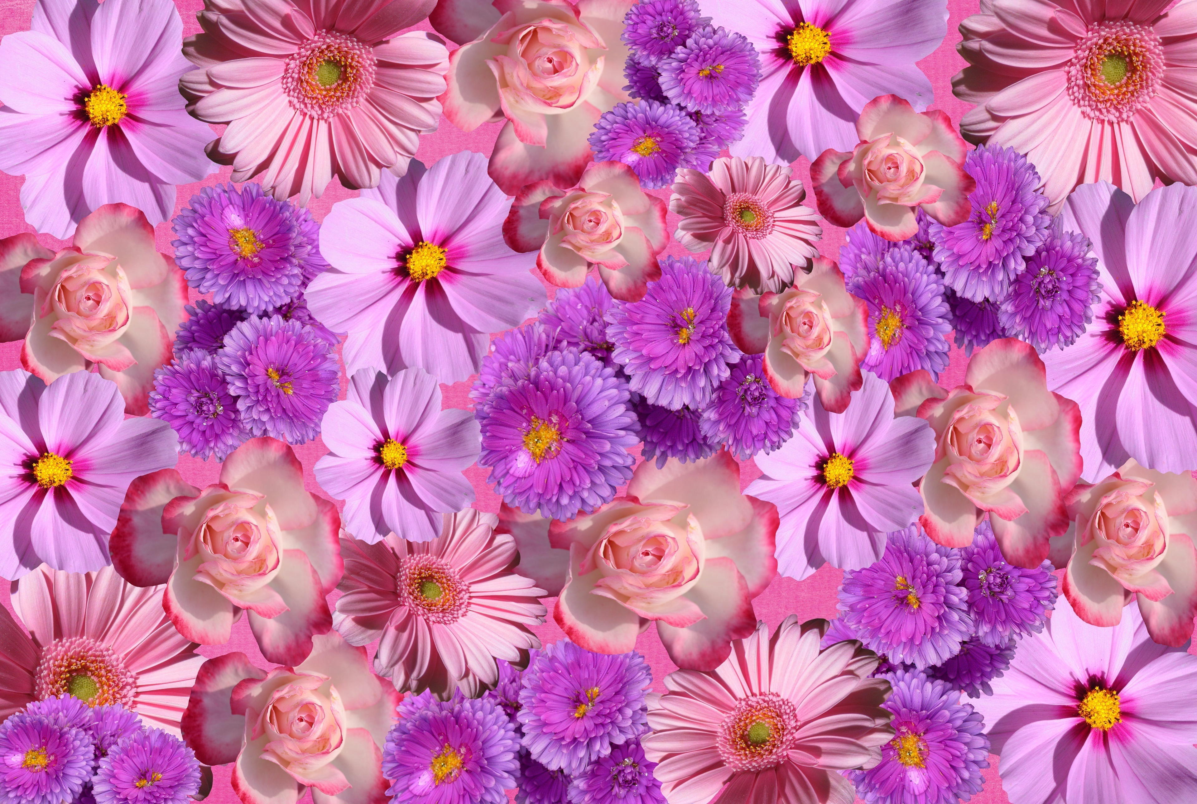 Какая красивая цветочками. Яркие цветы. Сиреневые цветы. Маленькие цветочки. Цветочный фон.