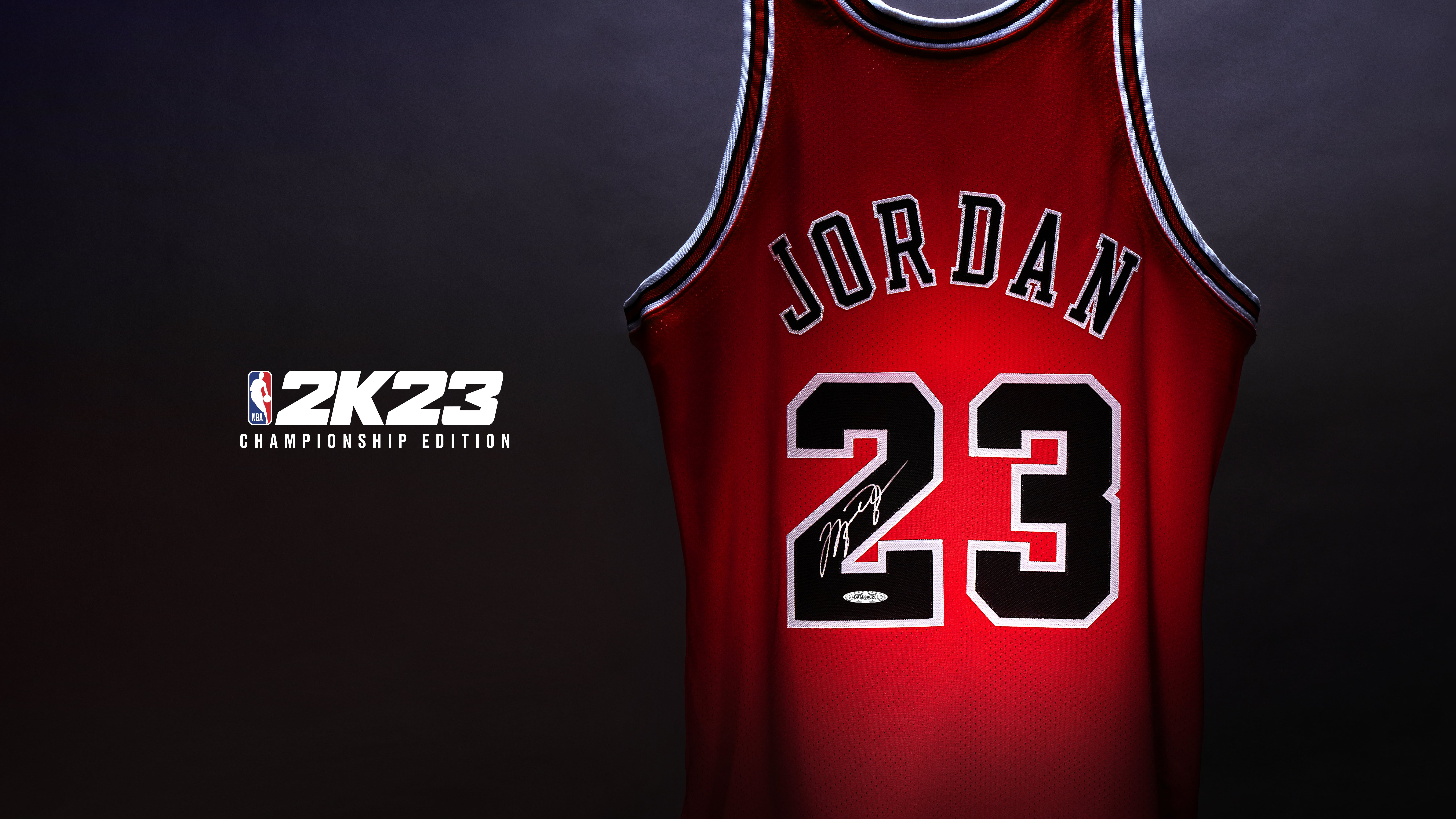 Download Michael Jordan in His Iconic Bulls Jersey Wallpaper