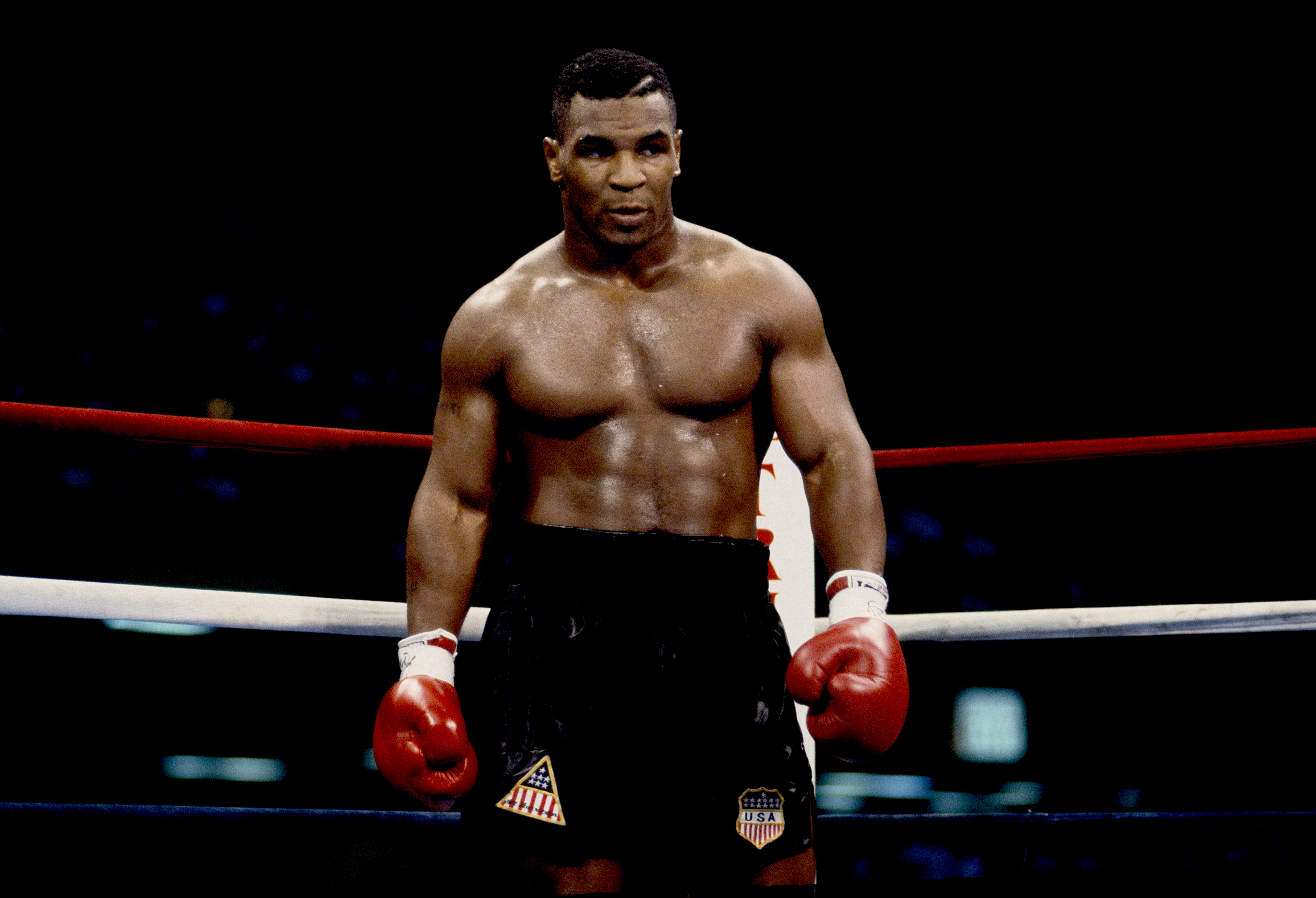 1920x1200 / 1920x1200 mike tyson wallpaper free hd widescreen -  Coolwallpapers.me!
