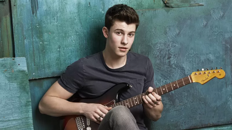 Shawn Mendes 4K