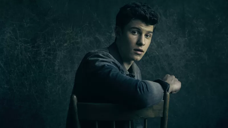 Shawn Mendes QHD, Popular singer