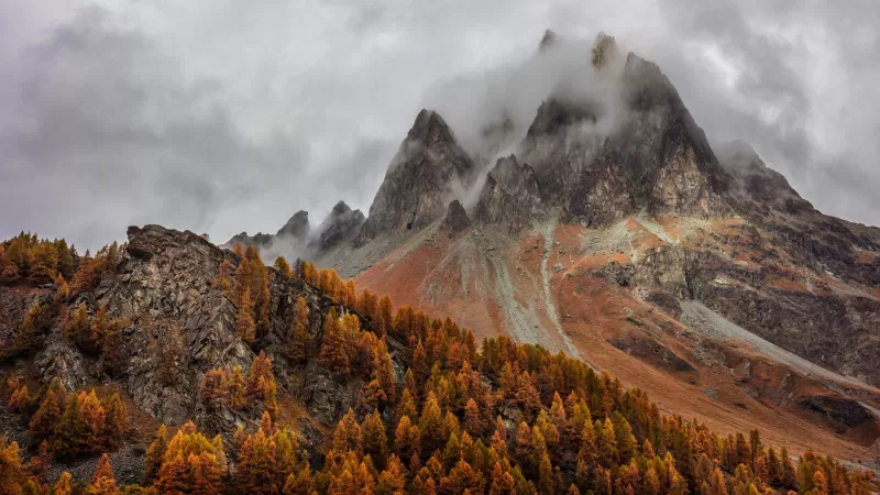 Grisons Alps, Autumn larch forest, Misty peaks, 5K wallpaper