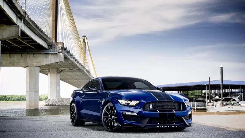 Ford Mustang Shelby GT350, Muscle cars, 5K