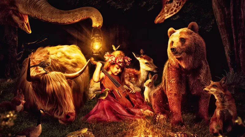 Little girl, Playing violin, Animals, Midnight, Bear, Fox, Giraffe, Deer, Forest, Rabbit, Surreal, Dream