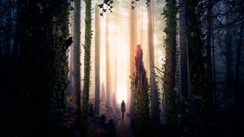 Girl, Alone, Forest, Mystic, Surreal, Portal, Dream