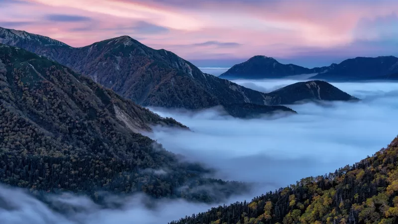 Sea of clouds, Autumn mountains, Pink dawn, HD wallpaper