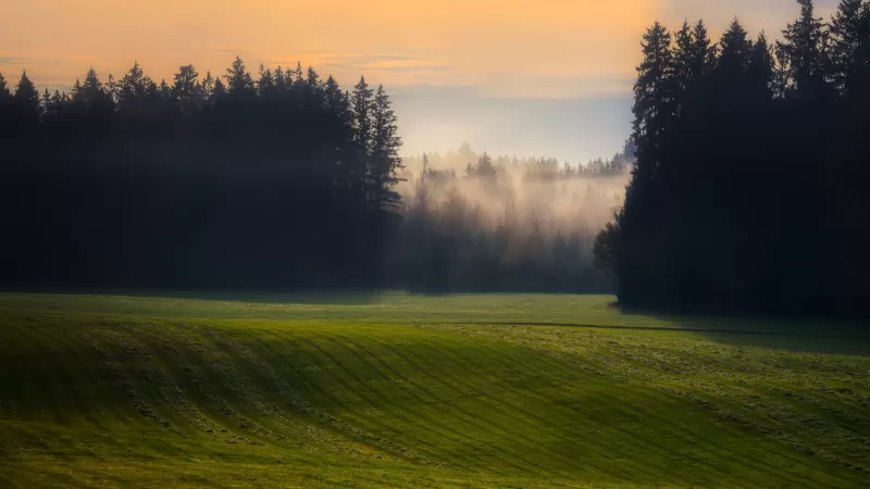 Landscape Green Fields, 5K wallpaper