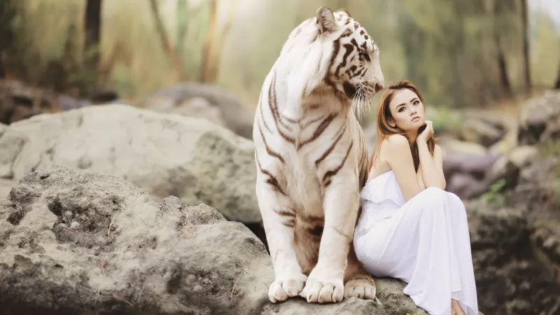 White tiger, Asian Woman, Friends, Wild, Dream