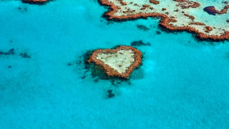 Love heart, Heart Reef, Great Barrier Reef, Coral reef, Australia, 5K, Tourist attraction, Aerial Photography