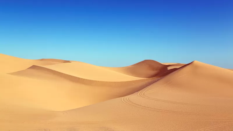Desert, Sand Dunes, Clear sky, Blue Sky, 5K