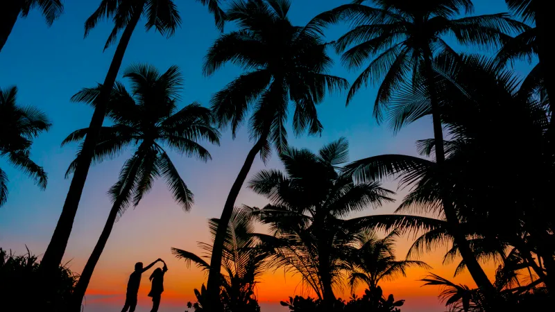 Couple silhouette, Romantic, Sunset, Twilight, Palm trees, Tropical beach, Maldives