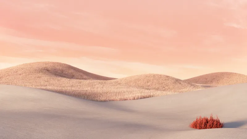 Desert, Landscape, Aesthetic, Microsoft Surface Laptop, Pink sky, 5K wallpaper, 8K, Stock