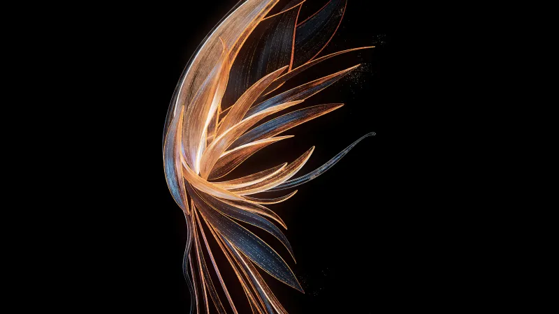 Angel wings, Abstract, Black background, Honor Magic VS, Stock