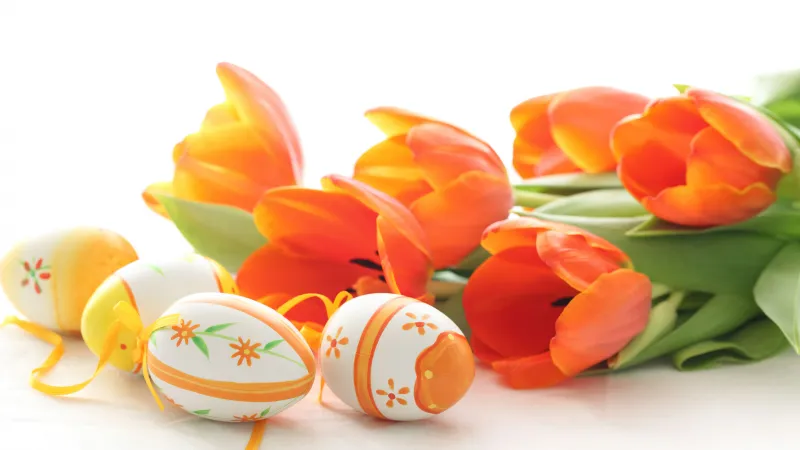 Easter eggs 4K, Daffodils, Orange flowers