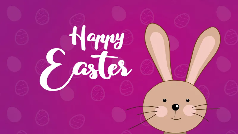 Happy Easter, Pink background, Easter Bunny, 4K