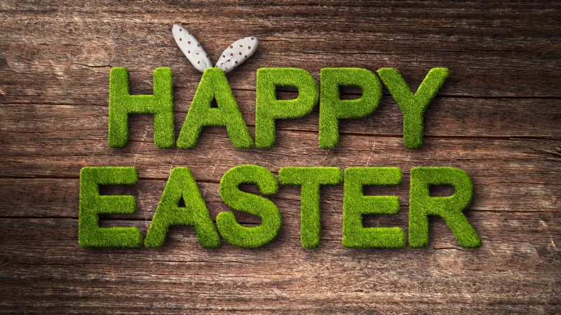 Happy Easter, Wooden background, Typography, Green Grass, 4K, 5K, 8K