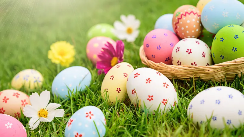 Easter eggs 4K, Green Grass