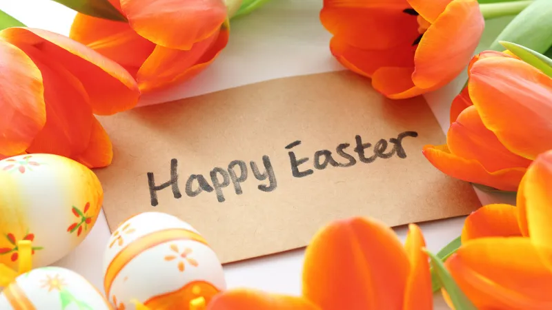 Happy Easter, Orange flowers, Easter eggs