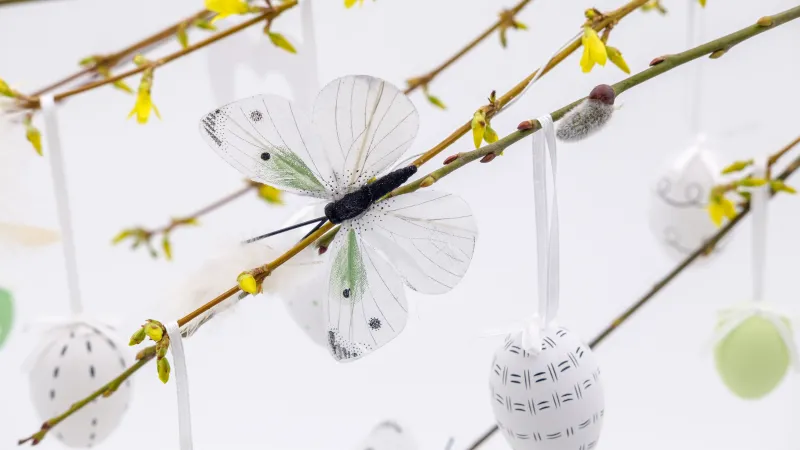 Easter tree, Easter background, White background, 5K
