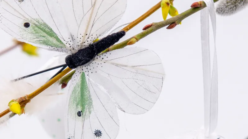 Easter tree, White background