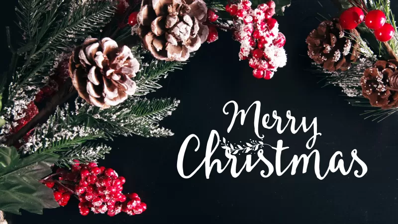 Merry Christmas, Decoration, Xmas background, Fruits, Frozen, 5K, Preppy Christmas