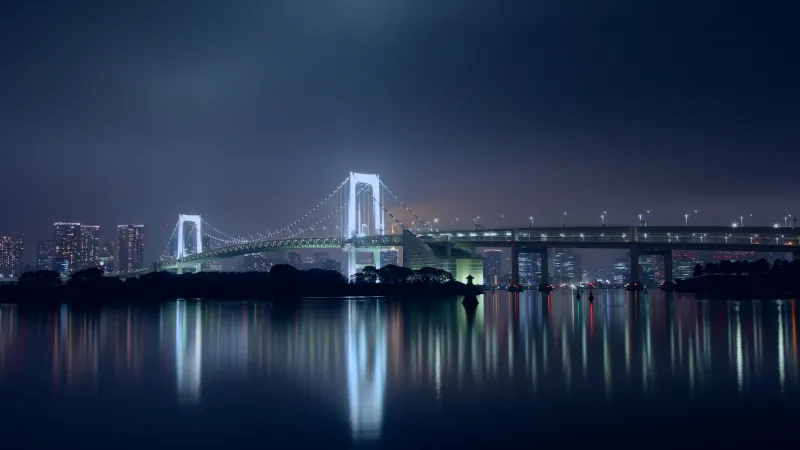 Rainbow Bridge Tokyo, Japan, Night, City lights, Reflection, 5K, Suspension bridge