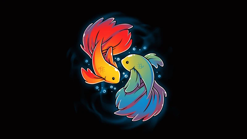 Betta fish illustration, Rainbow colors, Black background, 8K wallpaper
