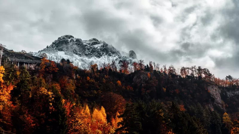 Alps, Autumn, Alps mountains, Forest, Wilderness, Landscape, Switzerland, 5K