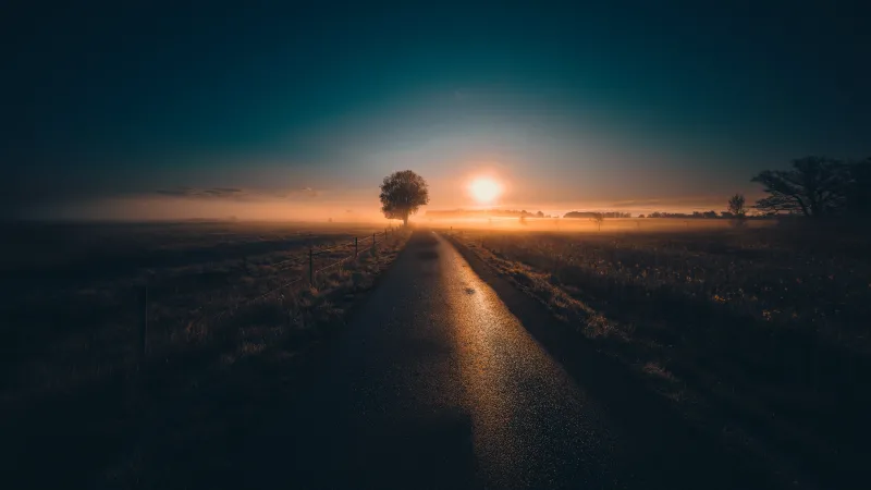 Country road at sunrise wallpaper, Sweden, Misty fields