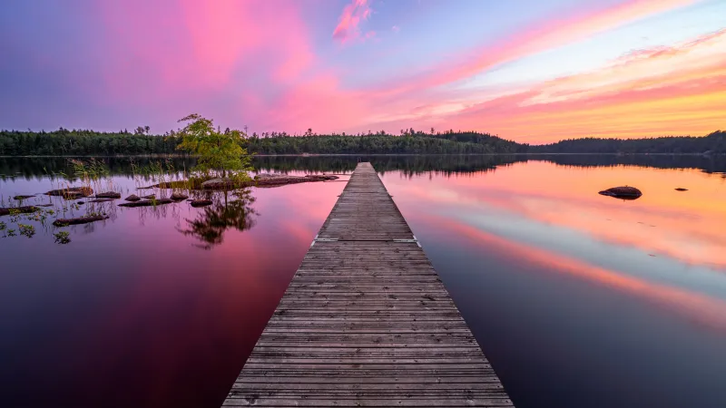 Wooden pier wallpaper, Pink sunset, Sweden