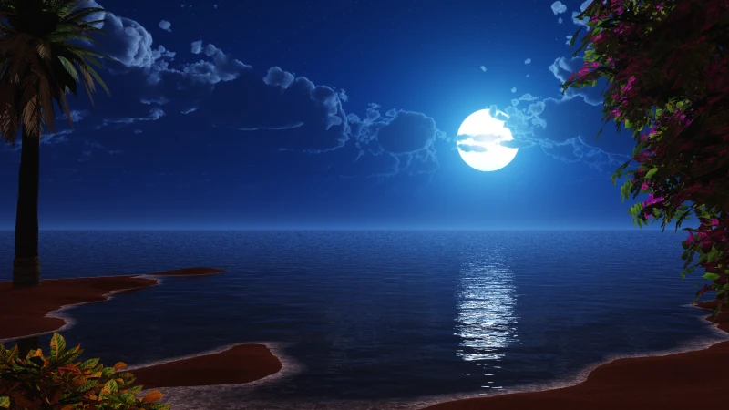 Moonlit beach, Palm tree, Blue night, 4K wallpaper