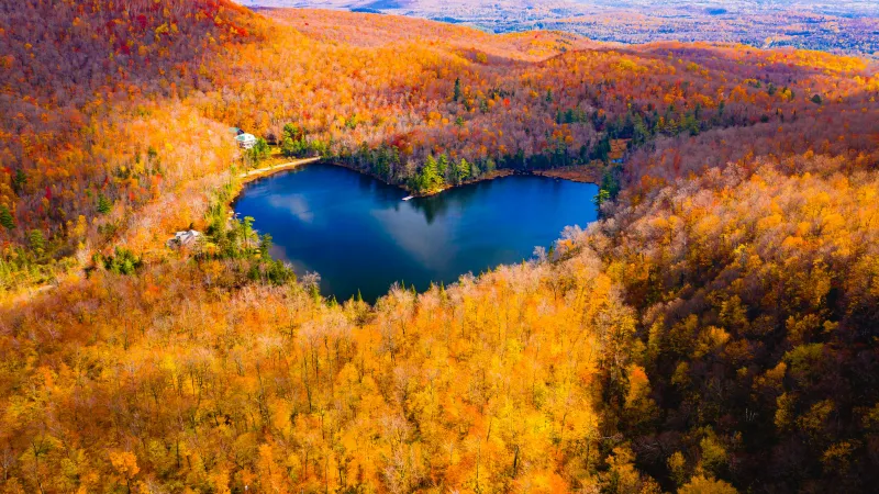 Heart Shaped Lake, Autumn Forest, Fall Colors, Aesthetic, 5K