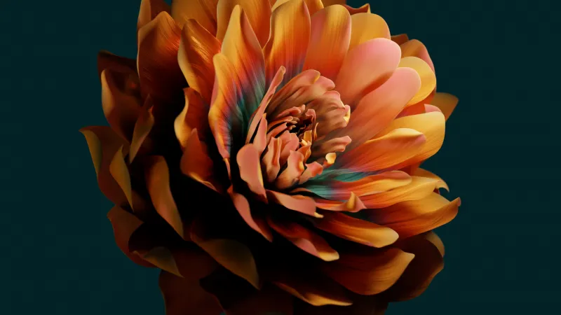 Huawei Mate X3, Stock