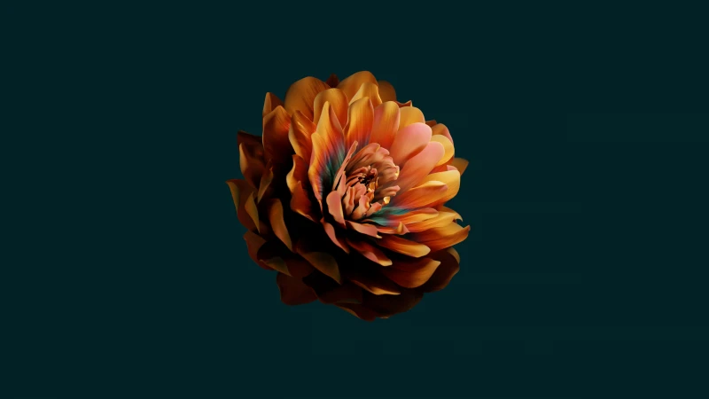 Abstract flower, Dark green, Huawei Mate X3, Stock, 5K