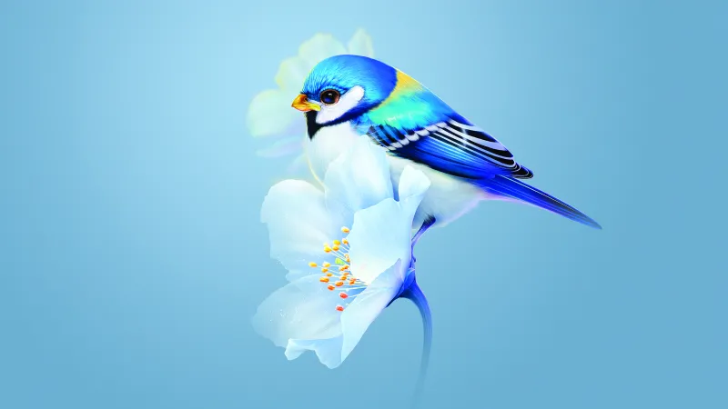 Cute bird 4K wallpaper, Huawei Mate X3, Stock