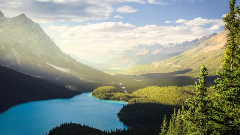 Banff National Park, Peyto Lake, Canadian Rockies, Mountains, Forest, Daylight, Sunny day, Summer, Canada, Aesthetic