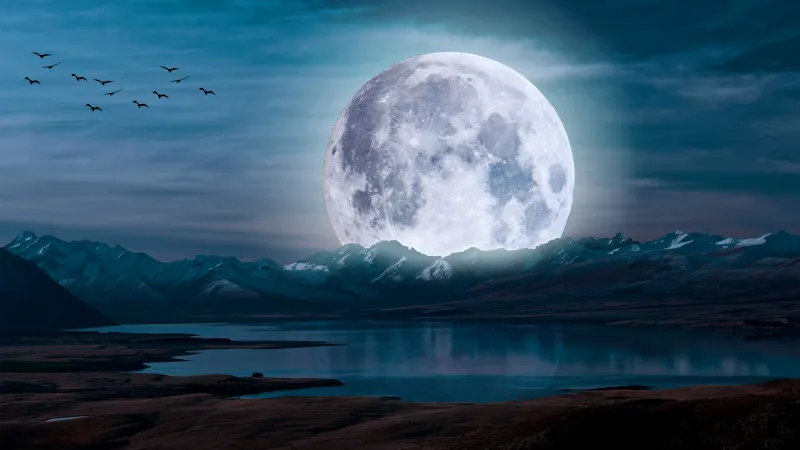 Giant moon over mountain lake wallpaper, Birds, Night sky