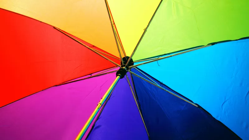 Umbrella, Colorful, Multicolor, 5K