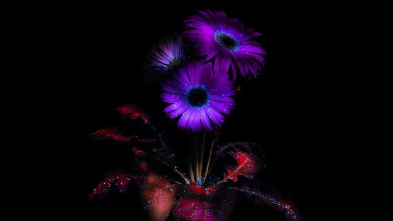 Purple Flowers, Glowing, AMOLED, 8K, Black background, Bloom, 5K, Darkness, Dark aesthetic, Ethereal