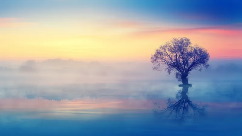 Lone tree in fog, Lake reflection, Pastel sky, 4K wallpaper