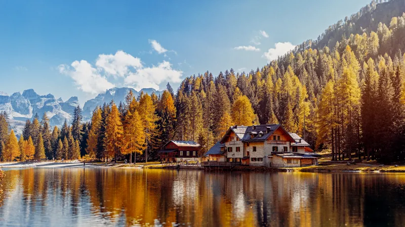 Lake Nambino wallpaper, Golden larches, Brenta Dolomites