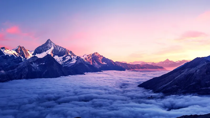 Snowy peaks above clouds, Pink sunrise, Sea of clouds, 4K wallpaper