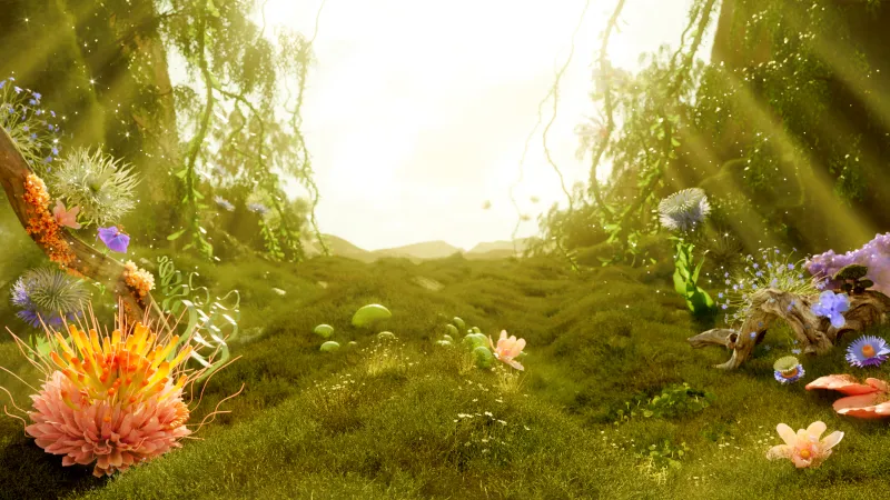 Mystical Forest, Sunlight, Serenity, Lush green field, Outdoor, Floral