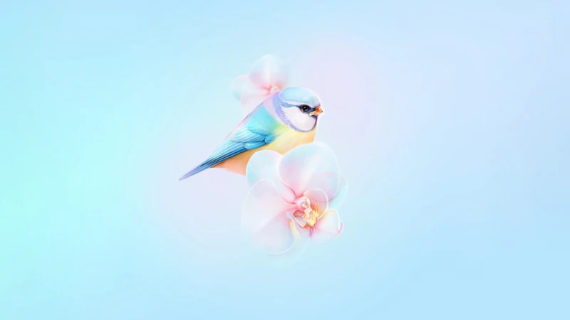 Blue tit on orchid, HarmonyOS, Pastel blue, 4K wallpaper