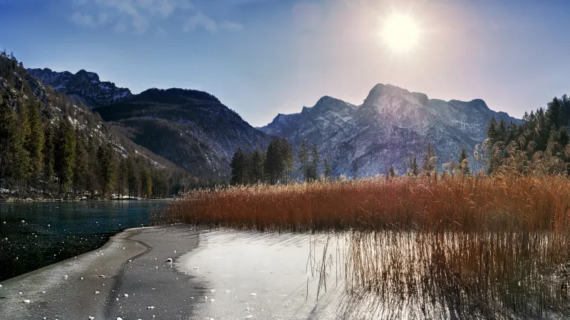 Frozen lake wallpaper, Alpine peaks, Reeds, Winter sun