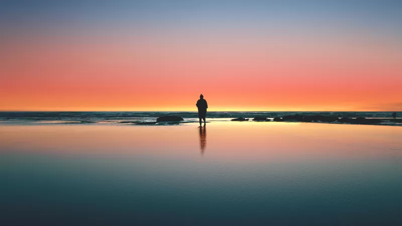 Horizon, Beach, Man, Alone, Sunset, Silhouette, Crescent Moon, Reflection, Kalaloch