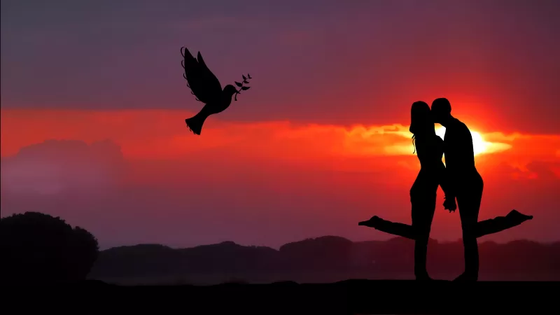 Couple, Together, Romantic, Sunrise, Dove, Silhouette