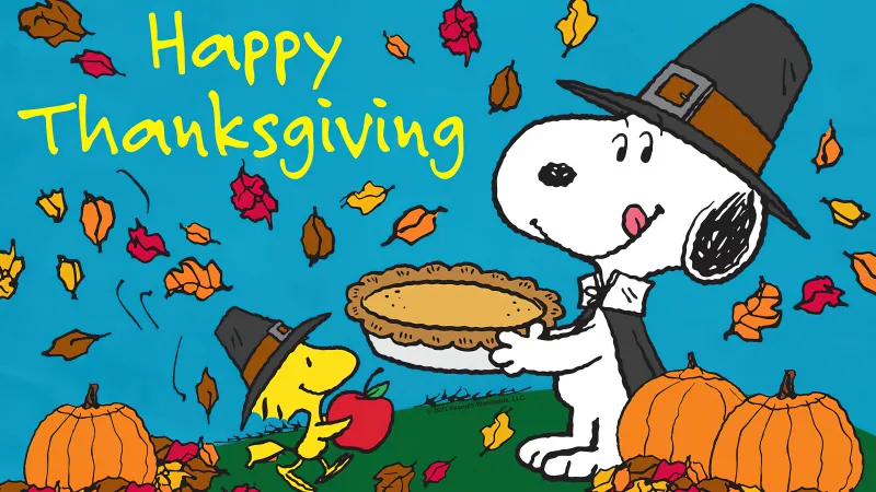 Snoopy, Happy Thanksgiving 4K wallpaper