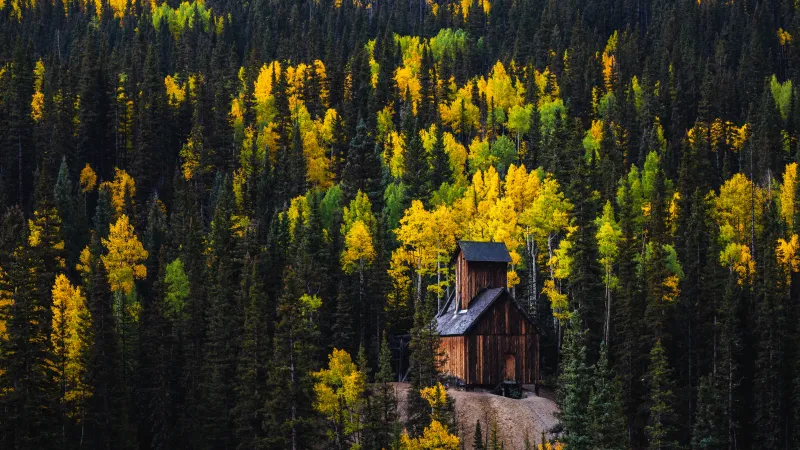 Colorado Boy Mine wallpaper, Red Mountain Pass, Golden aspens